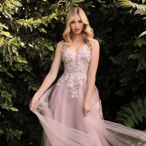 NEW LONG A-LINE SLEEVELESS TULLE GOWN EMBROIDERED WITH FLORAL APPLIQUE CD CDS409